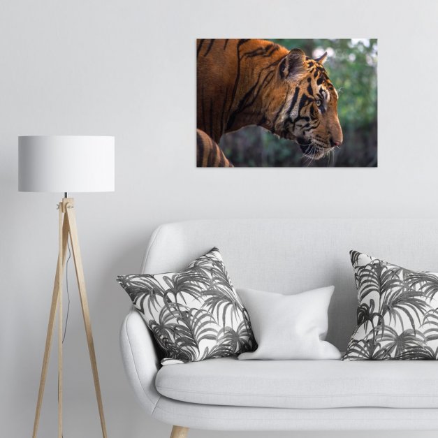 Plakat metalowy tygrys na polowaniu L