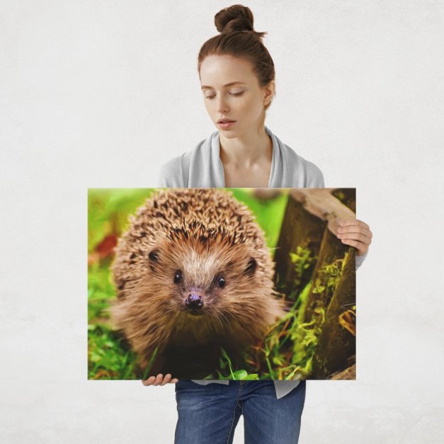 Plakat metalowy jeż L