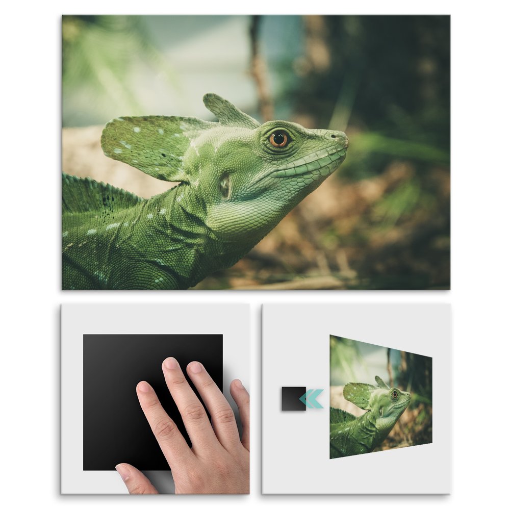Plakat metalowy iguana L