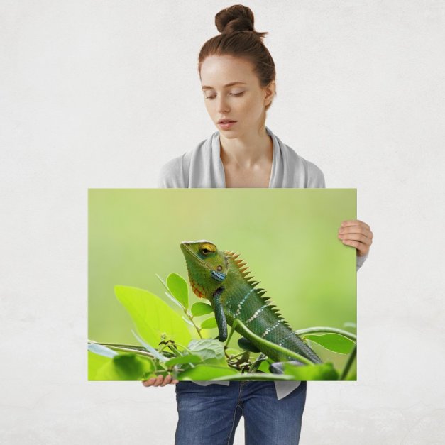 Plakat metalowy kameleon L