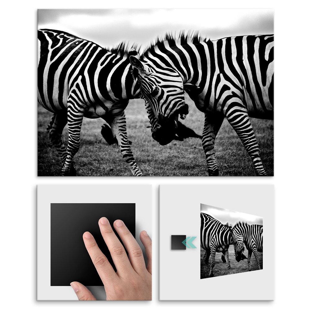 Plakat metalowy walczce zebry M