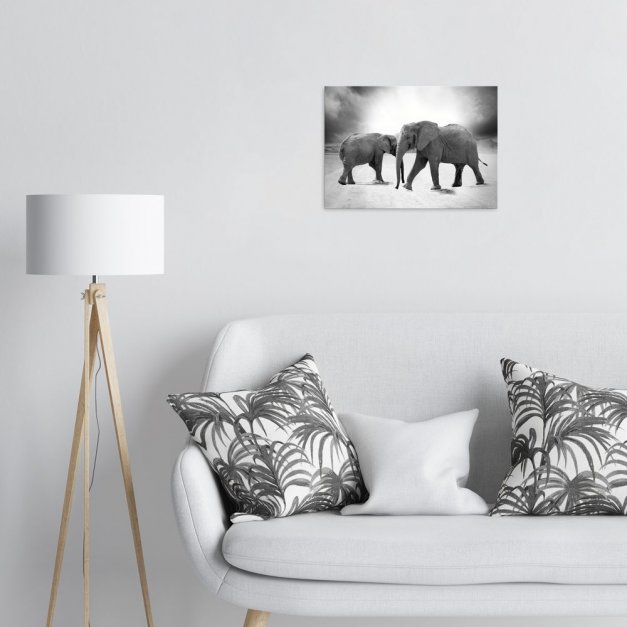 Plakat metalowy czarno-białe słonie M