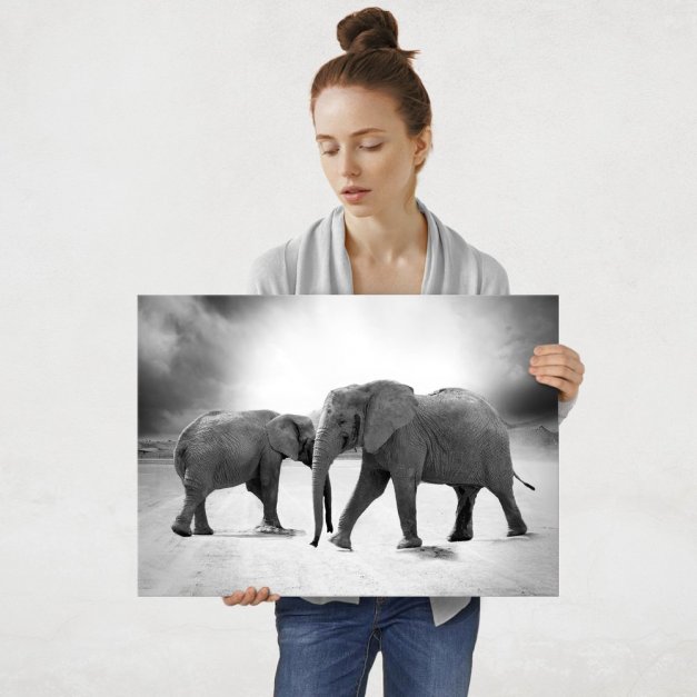 Plakat metalowy czarno-białe słonie L