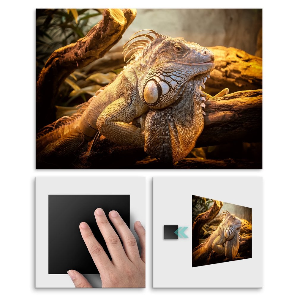 Plakat metalowy iguana L