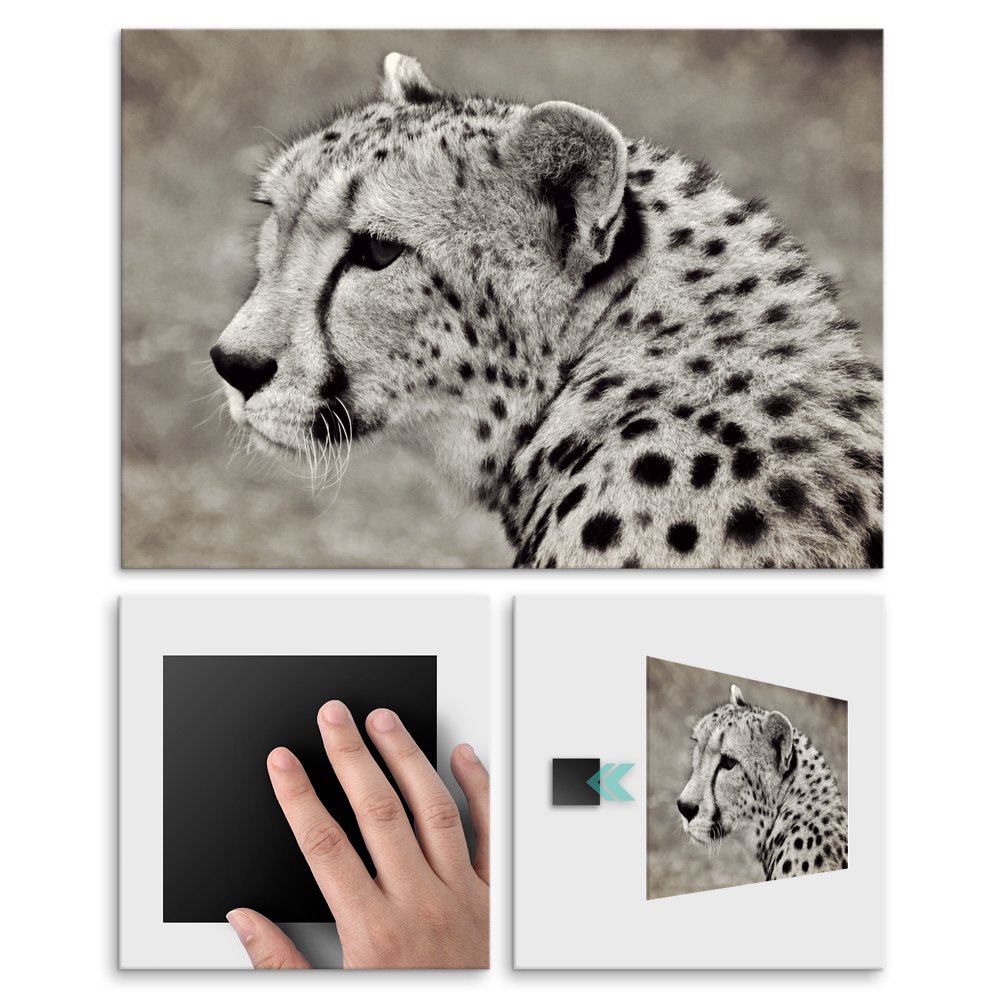 Plakat metalowy gepard M