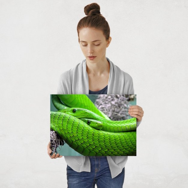 Plakat metalowy para węży M