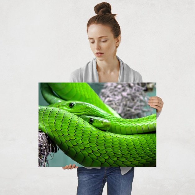 Plakat metalowy para węży L