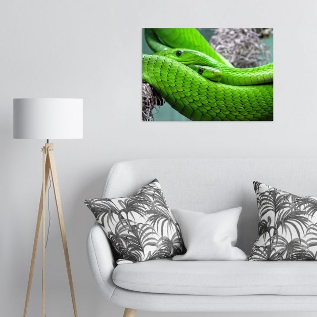 Plakat metalowy para węży L