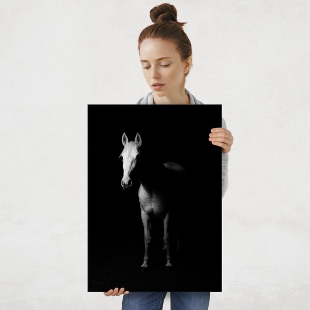 Plakat metalowy biały koń w mroku L