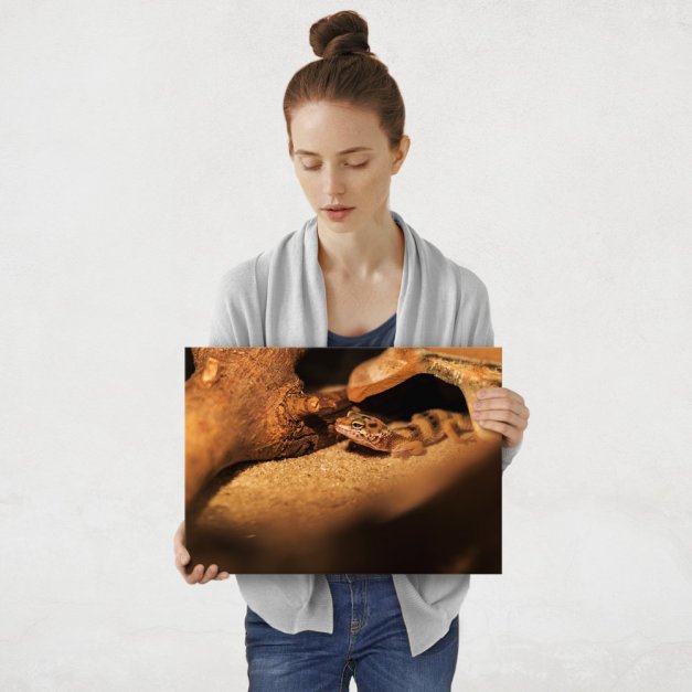 Plakat metalowy jaszczurka M