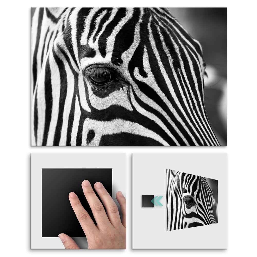 Plakat metalowy zebra L