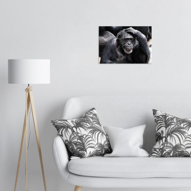 Plakat metalowy szympans M