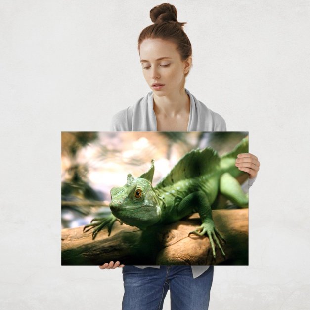 Plakat metalowy kameleon L