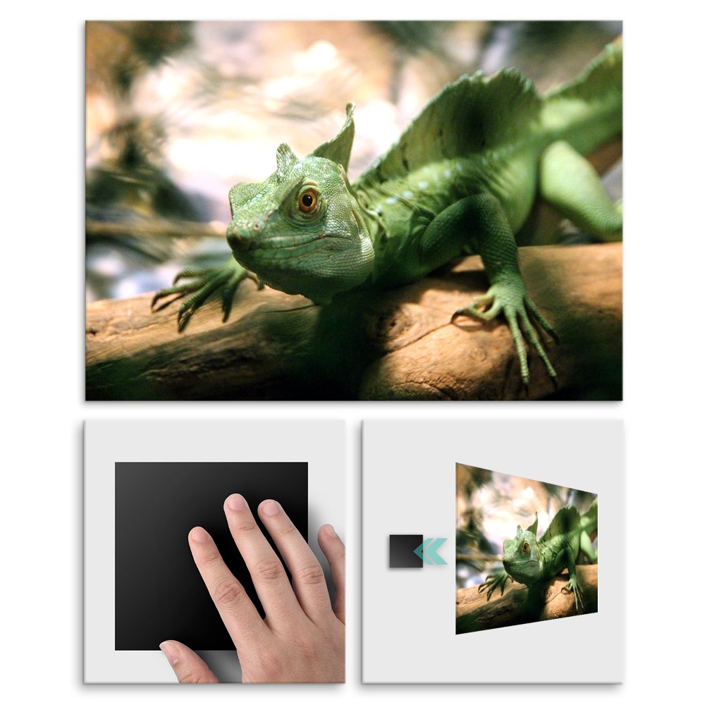 Plakat metalowy kameleon L