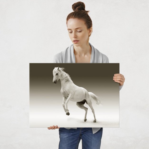 Plakat metalowy biały koń L