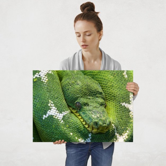 Plakat metalowy pyton L