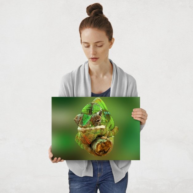 Plakat metalowy kameleon M