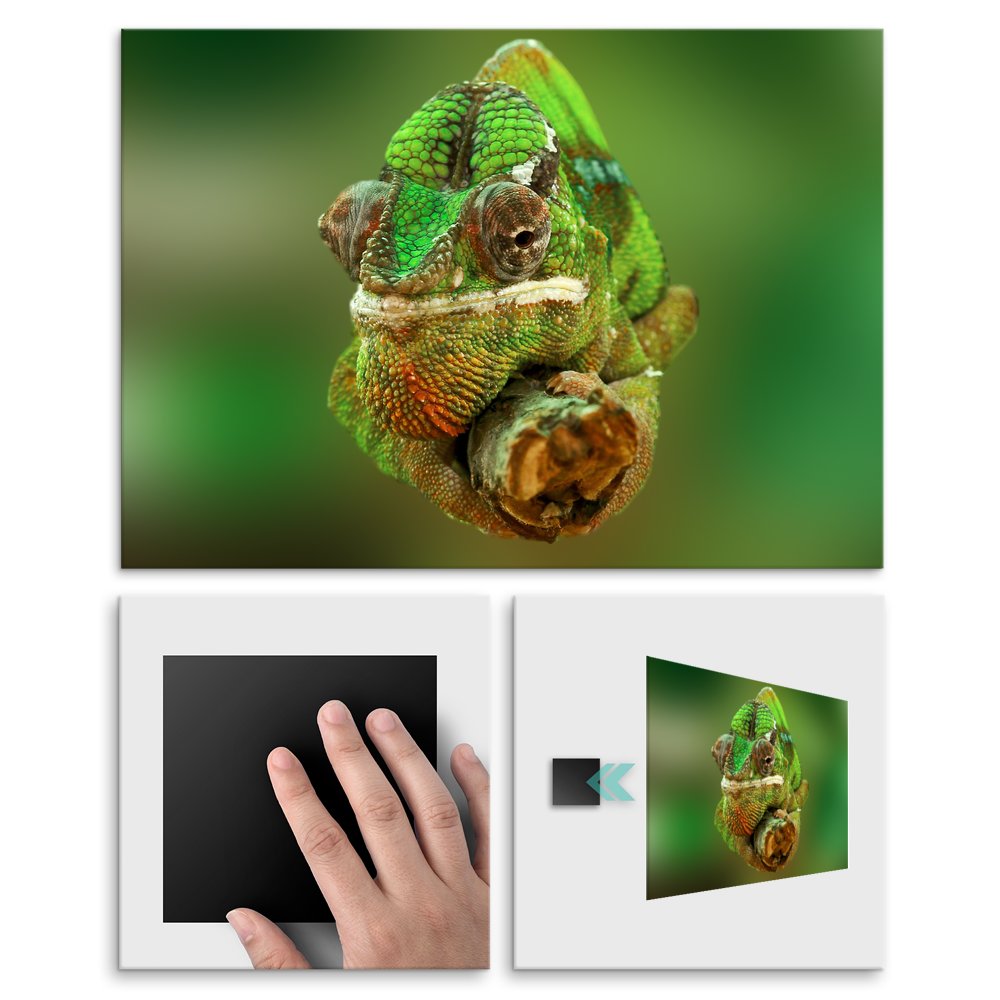 Plakat metalowy kameleon M