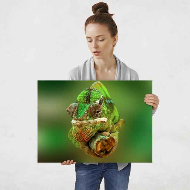 Plakat metalowy kameleon L
