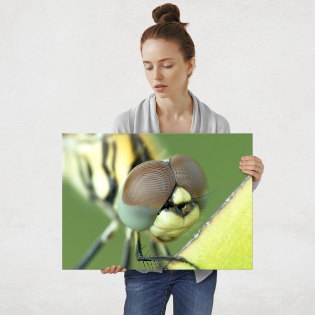 Plakat metalowy ważka L