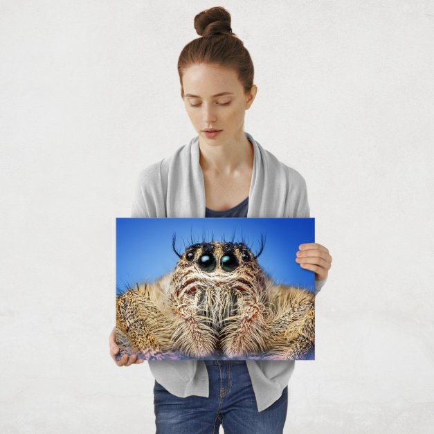 Plakat metalowy pająk M