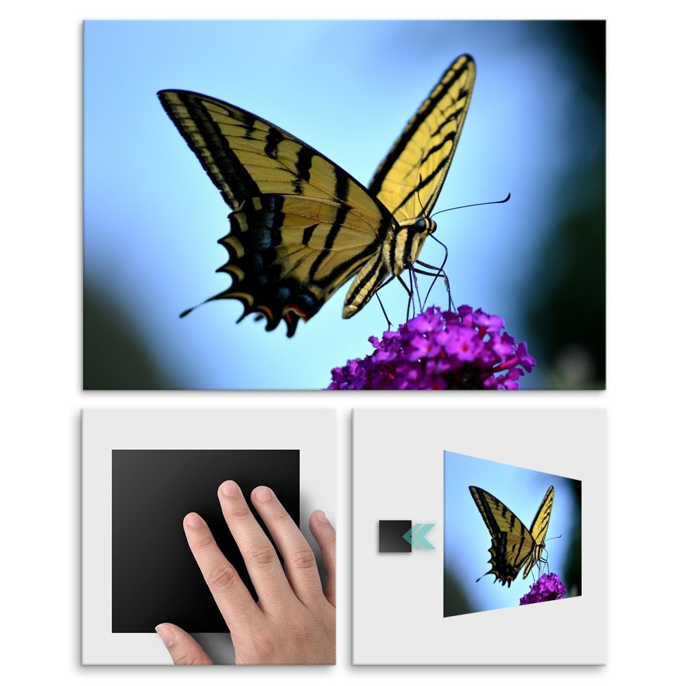 Plakat metalowy zoty motyl L
