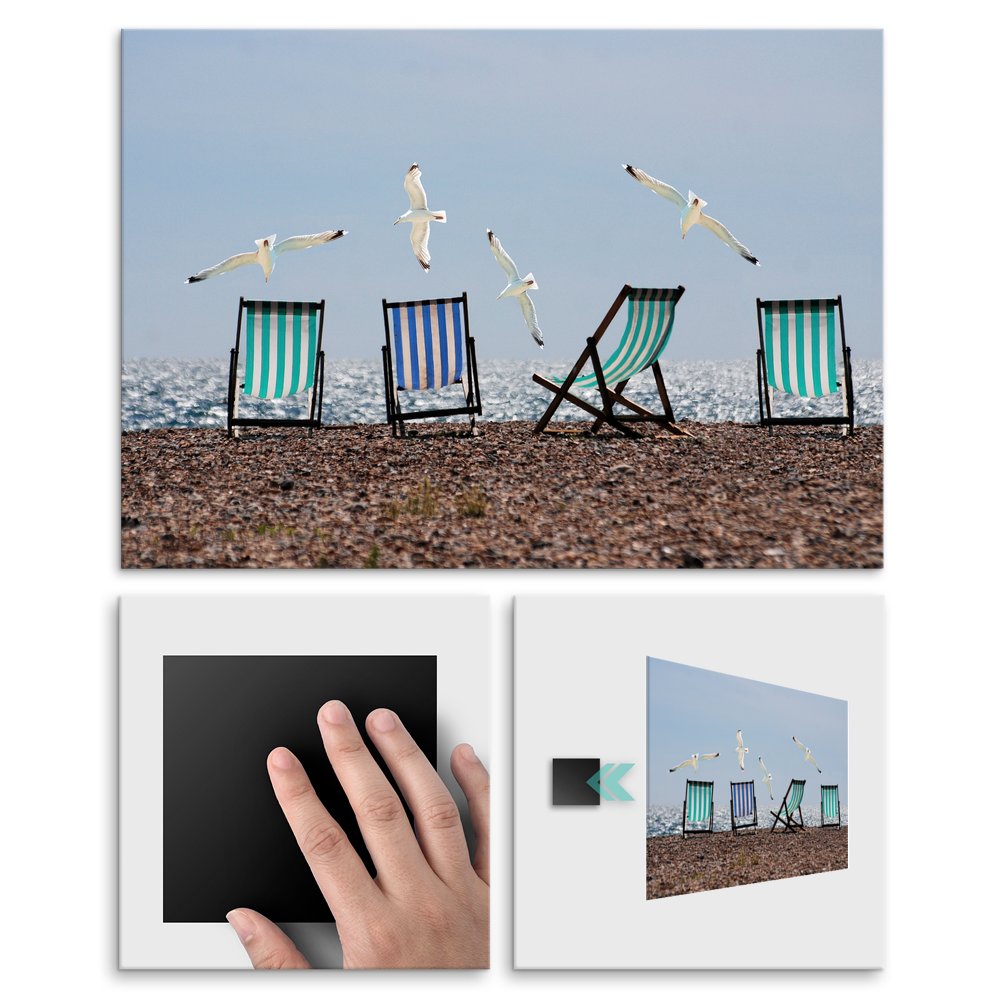 Plakat metalowy mewy L