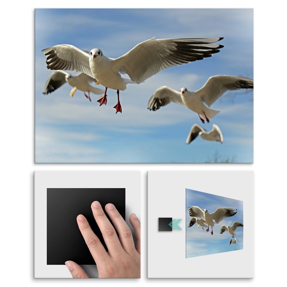 Plakat metalowy mewy L