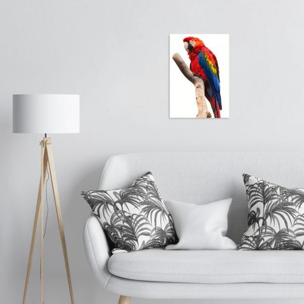 Plakat metalowy kolorowa papuga M
