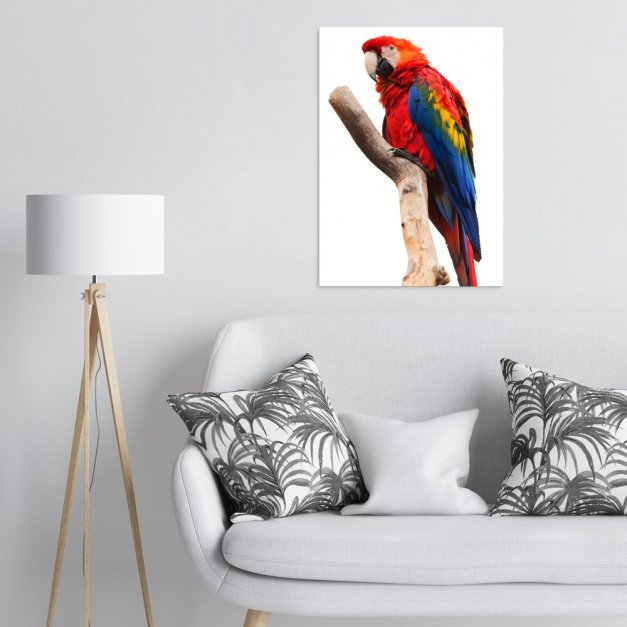 Plakat metalowy kolorowa papuga L