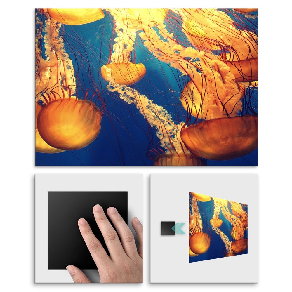 Plakat metalowy meduzy L