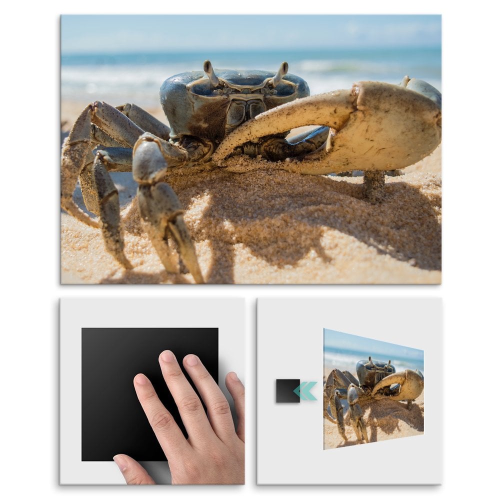Plakat metalowy krab L