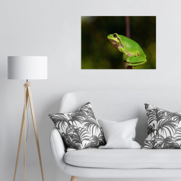 Plakat metalowy żaba na gałęzi L
