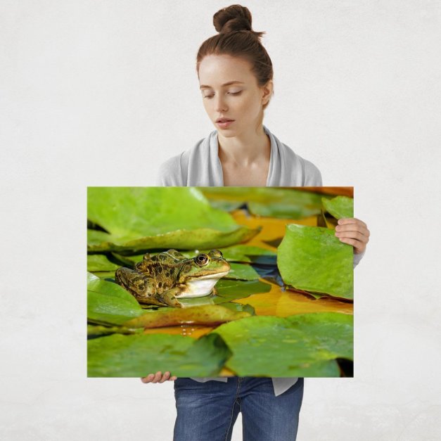 Plakat metalowy żaba na liściu L