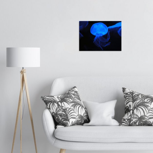 Plakat metalowy niebieska meduza M