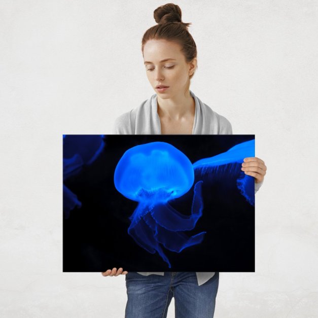 Plakat metalowy niebieska meduza L