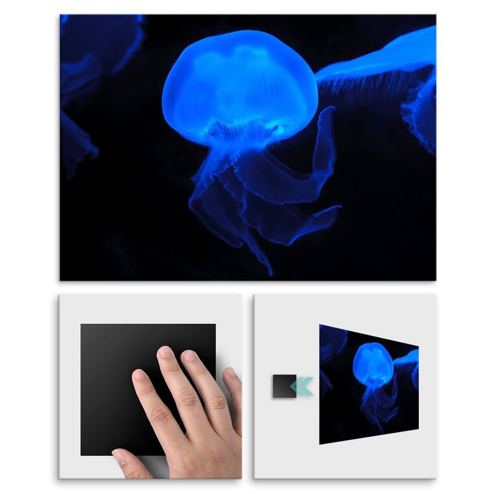 Plakat metalowy niebieska meduza L