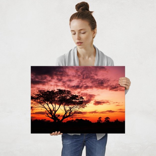 Plakat metalowy tropikalne lasy L
