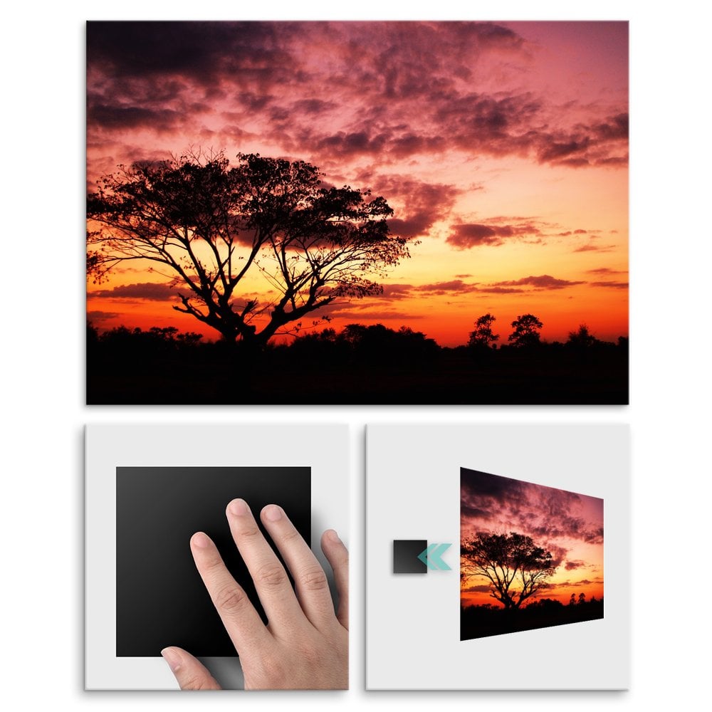 Plakat metalowy tropikalne lasy L