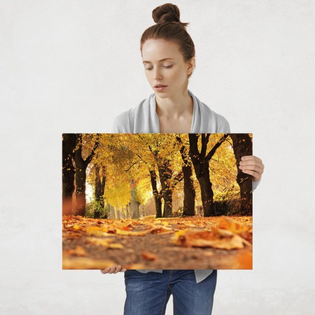 Plakat metalowy las jesienią L