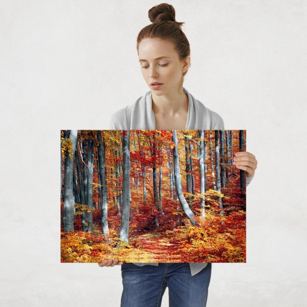 Plakat metalowy jesienny las L