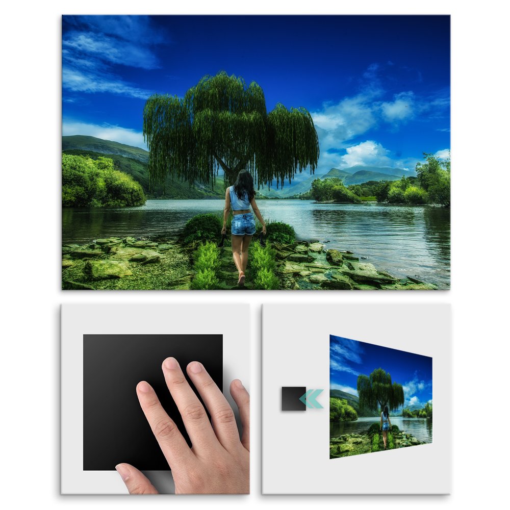 Plakat metalowy wierzba nad wod L