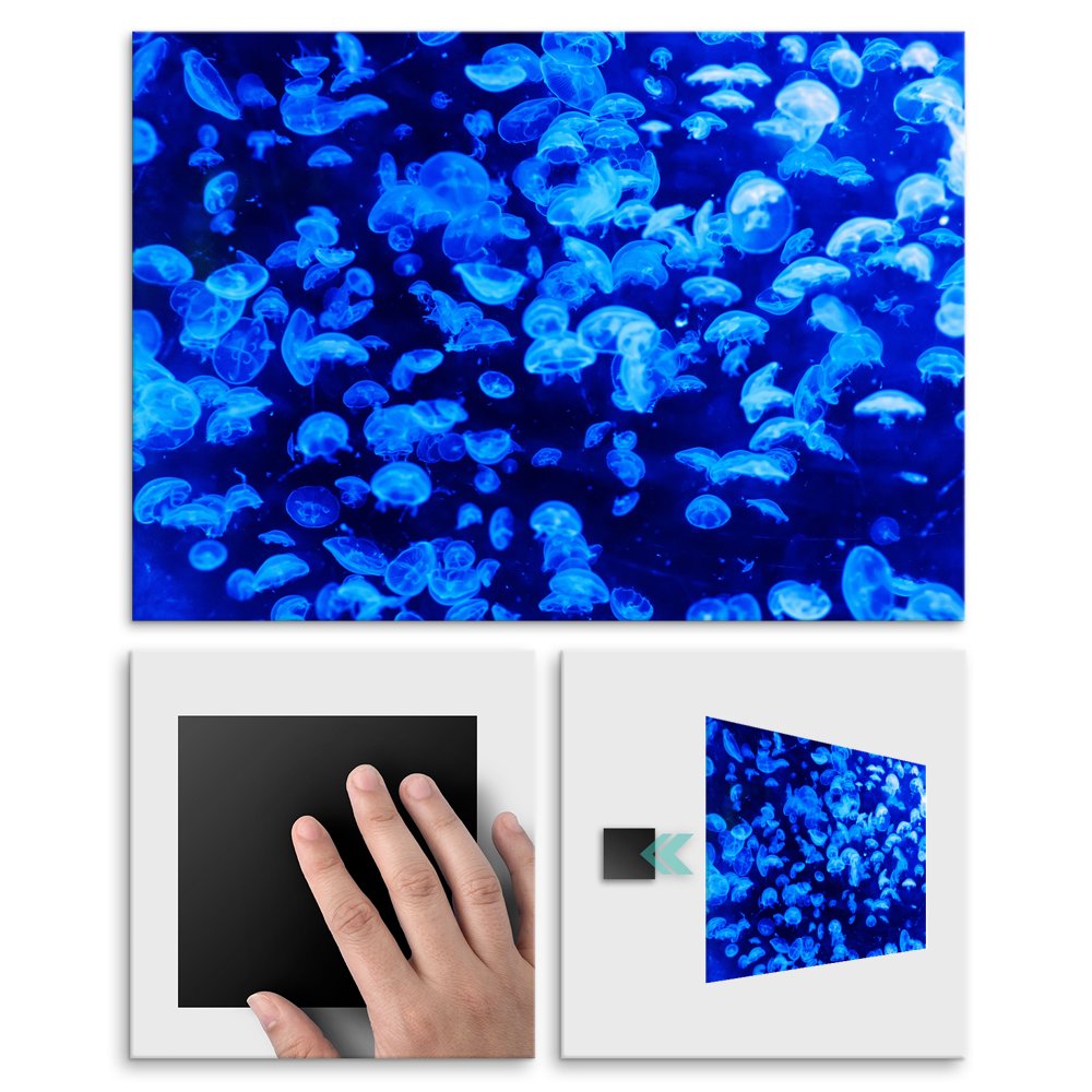 Plakat metalowy gebi oceanw L