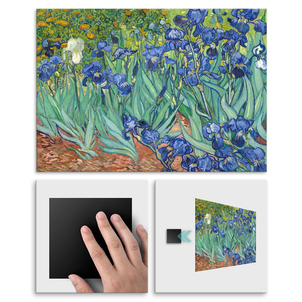 Plakat metalowy Irises Vincent van Gogh L