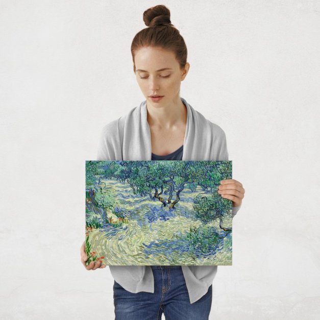 Plakat metalowy Vincent Van Gogh Olive Orchard M