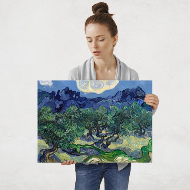 Plakat metalowy Vincent Van Gogh The Olive Trees L