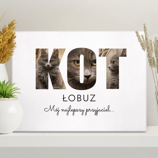 Obraz drukowany na płótnie z kolażem zdjęć 30x40 cm dla kociary na paraoetówkę