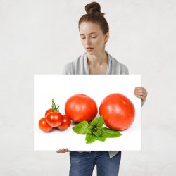 Plakat metalowy pomidor L