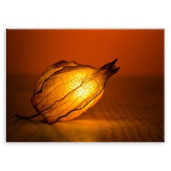 Plakat metalowy blask liścia M