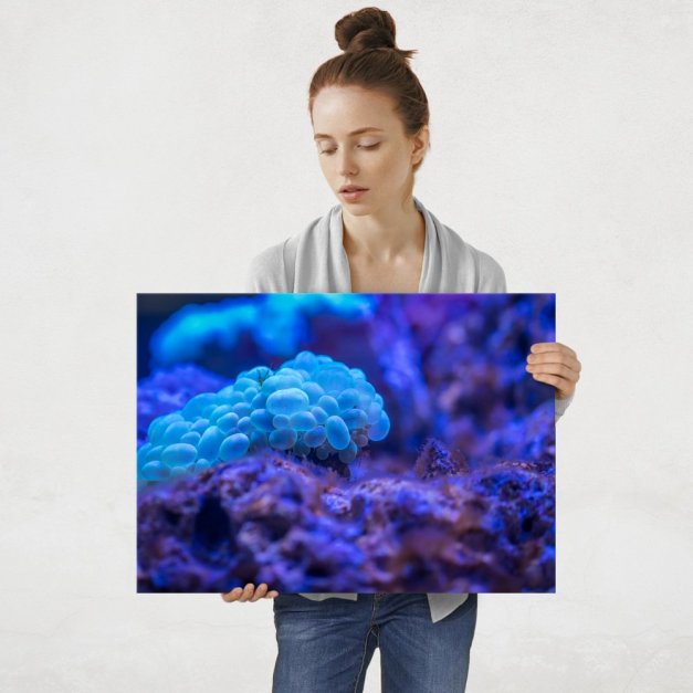 Plakat metalowy piękno głebin L